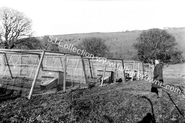 SILVER TOM FARM BALLYFEA CLOSER VIEW